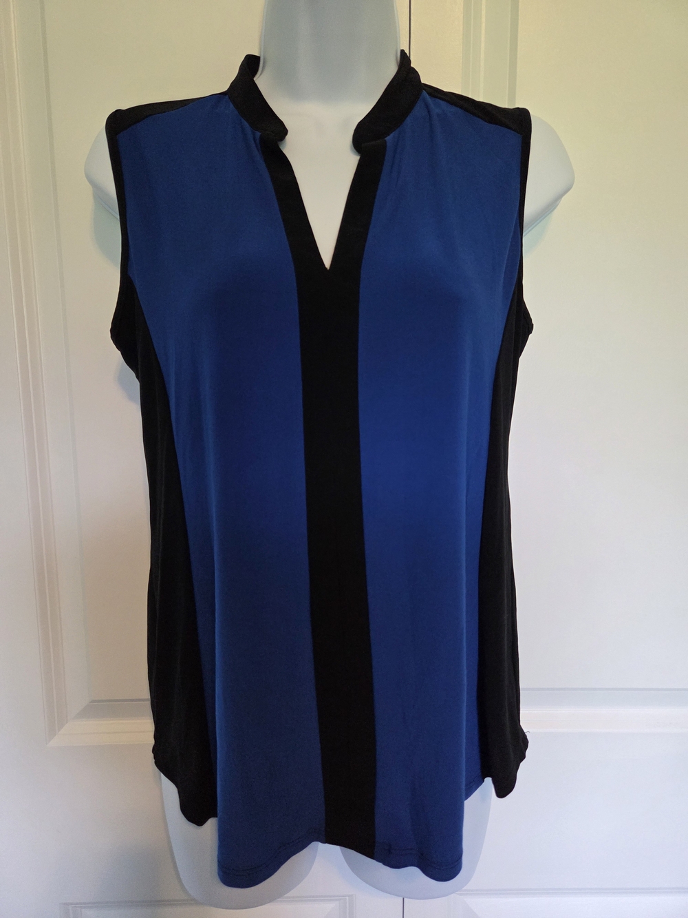 Sleeveless V-Neck Colorblock Camisole in Blue and Black